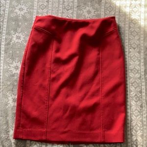Red Winter Lined Skirt